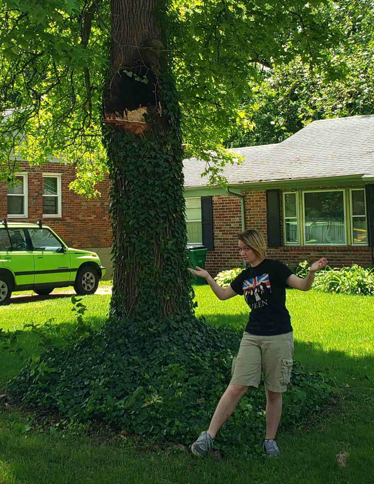 2020-06-09 Kenyon Tree limb Cate.jpg